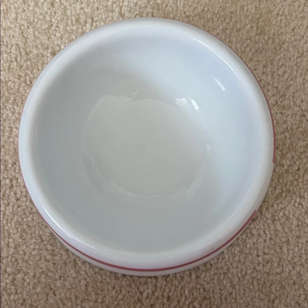 Victoria’s Secret PINK vintage dog bowl